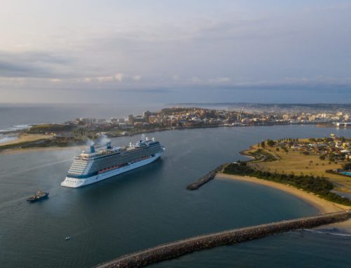 Cruise Newcastle – Join Our Team